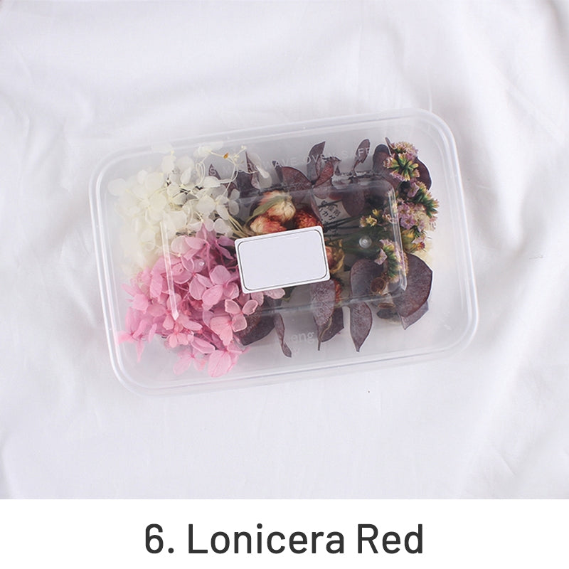 Air-Dried Real Flower Boxed Preserved Floral Material Pack sku-6