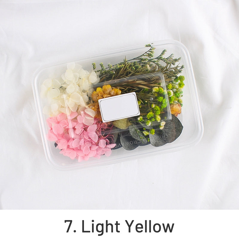 Air-Dried Real Flower Boxed Preserved Floral Material Pack sku-7