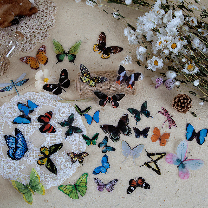 Butterfly Wings Specimen PET Sticker Pack b