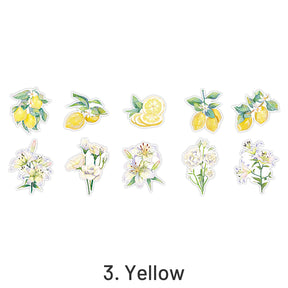 Clear Vivid Floral Plants PET Sticker Pack sku-3