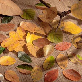 Creative Fallen Leaves Decorative Washi Tape Sticker b3