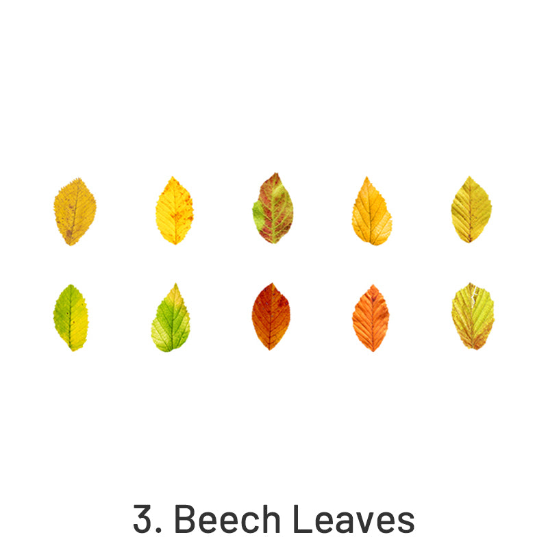 Creative Fallen Leaves Decorative Washi Tape Sticker sku-3