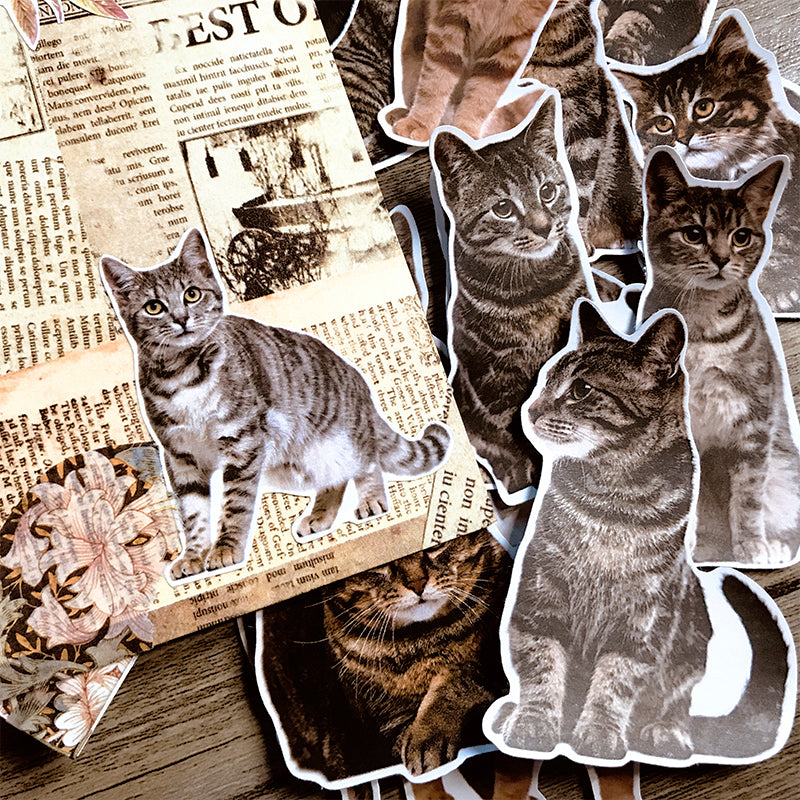 Cute Cat Kitten Adhesive Sticker b1