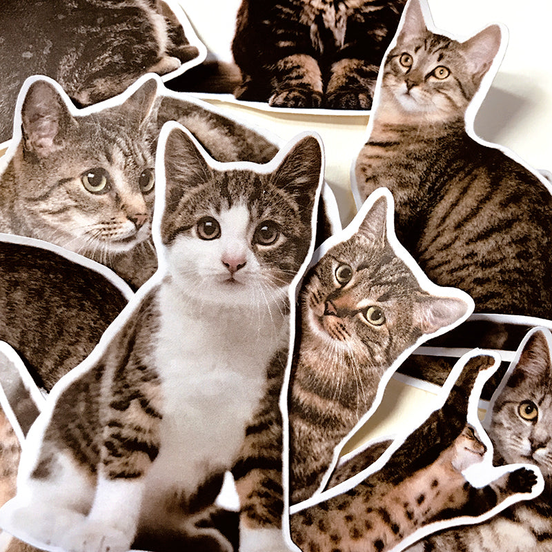 Cute Cat Kitten Adhesive Sticker b2