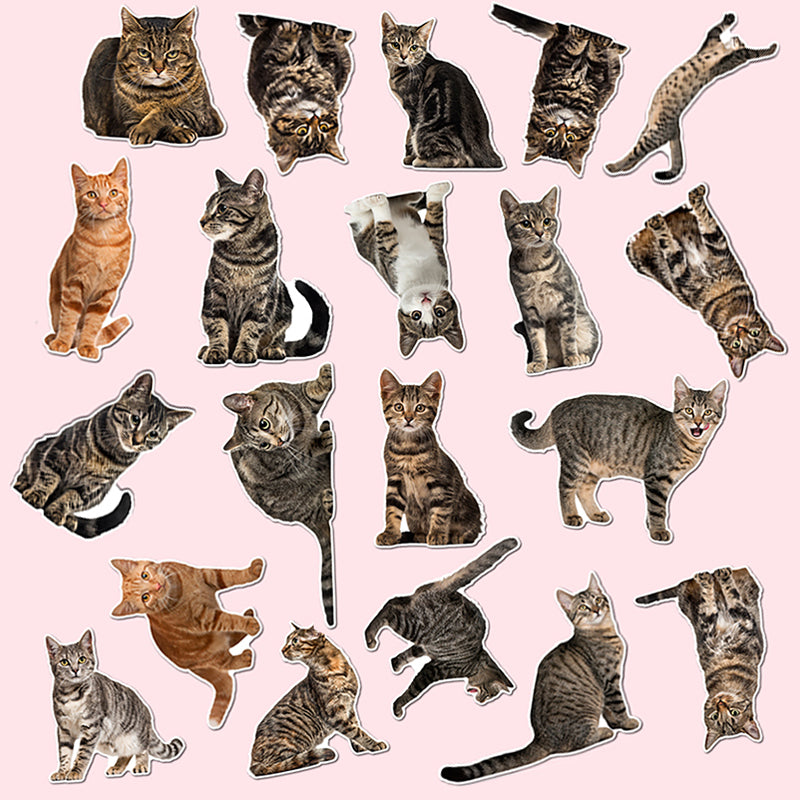 Cat Sticker Bc Adorable Cat Kitten Stickers Set | Waterproof Adhesive Decals by Stamprints