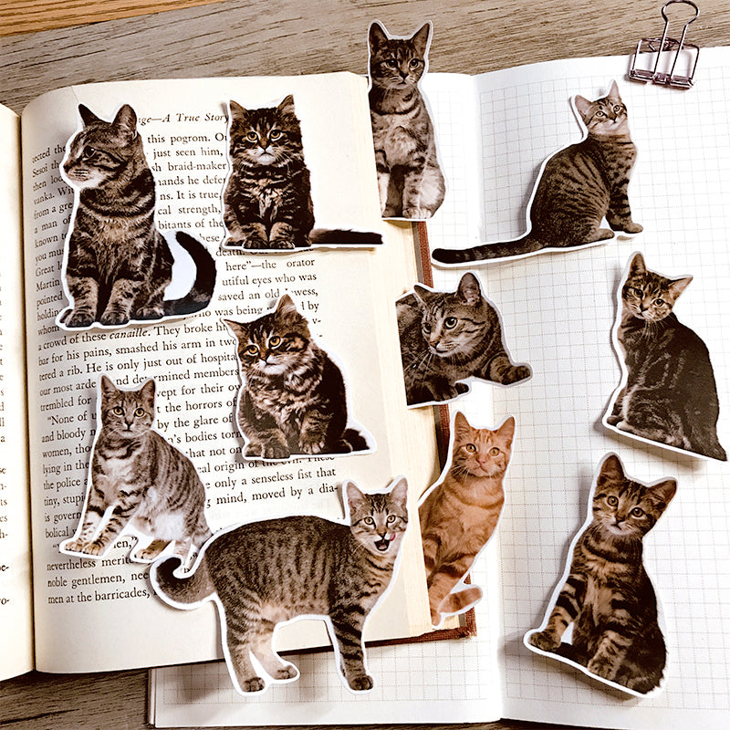 50 pezzi Adesivi divertenti a forma di gatto per custodie per telefono 50 pezzi Adesivi divertenti a forma di gatto per custodie per telefono