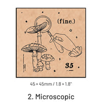 2. Microscopic