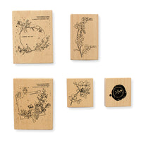 No. 6 - (complete set, 10% OFF）