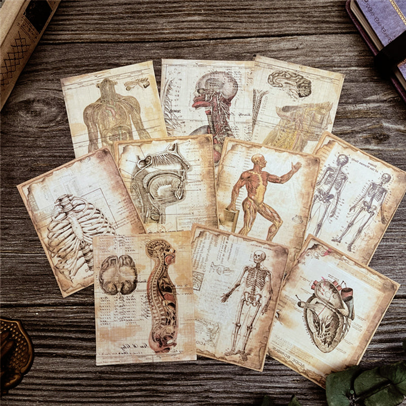 Dark Human Anatomy Junk Journal Paper a