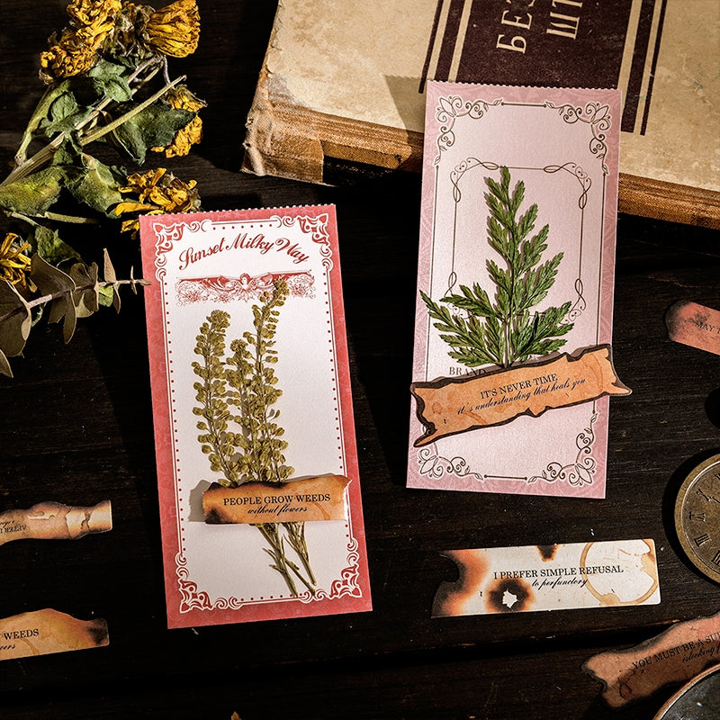 Diary Pieces Burned Long Strip English Sticker Pack b