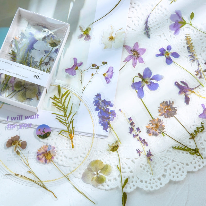 Florescence Vendor Creative Boxed PET Flower Stickers b3