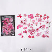 2. Pink