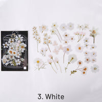 3. White