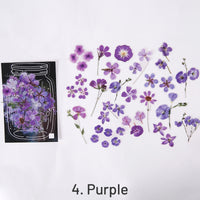 4. Purple