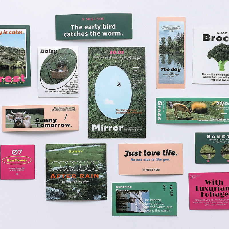 Travel Photo Stickers - Forest, Islands, Food3