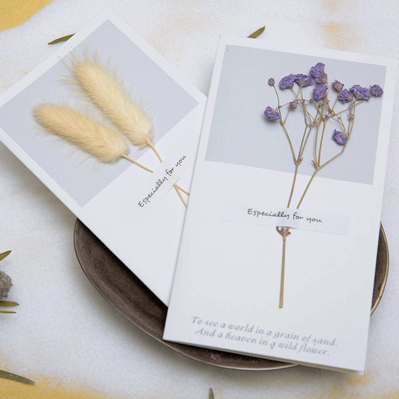Dried Flower Greeting Card - Baby's Breath, Forget-Me-Not3