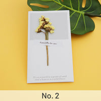 2.Forget-Me-Not Yellow