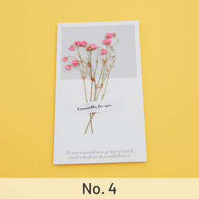 Baby's Breath Pink-Dried Flower Greeting Card - Baby's Breath, Forget-Me-Not
