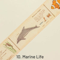 10. Marine Life