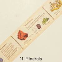 11. Minerals