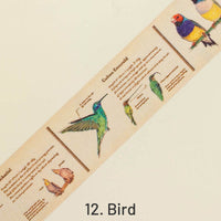12. Bird
