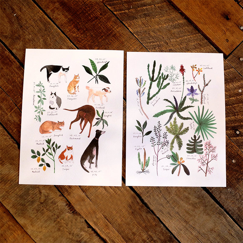 MTW-SP Soupy Tang Cartoon Plant Animal Character Washi Tape b