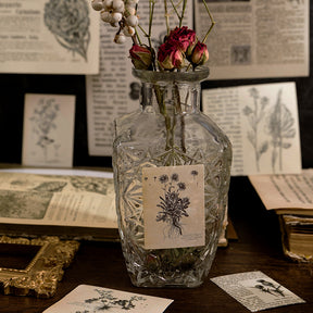 Vintage Multi-Material Material Pack - Plant, Fairy Tale, Newspaper, Letter, Manuscript, Experiment3