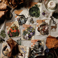 7. Complete Set (10% OFF)