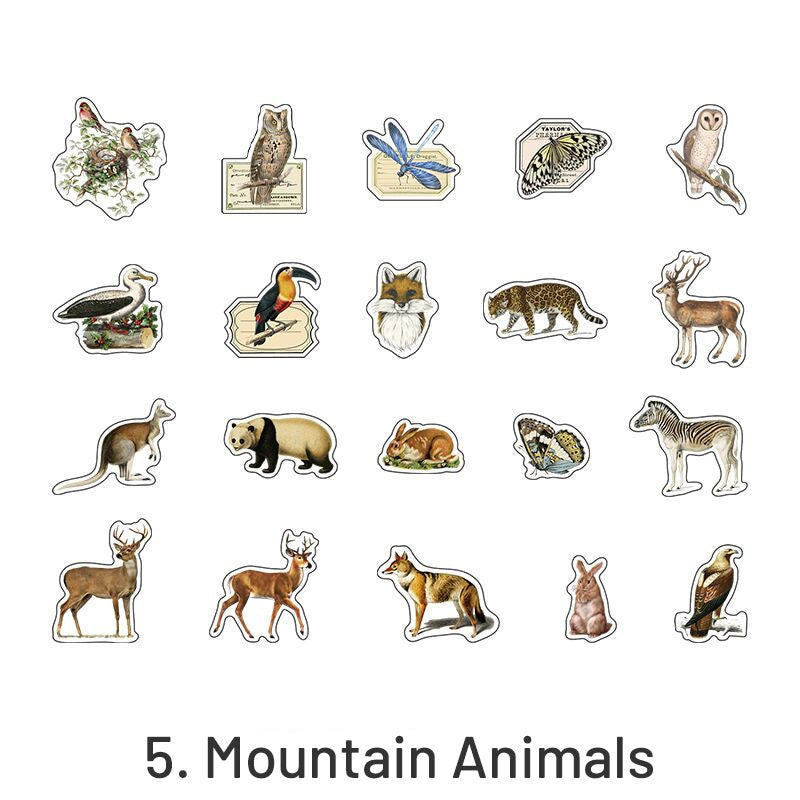 Nature Album Retro Animals Plants PET Stickers sku-5