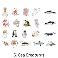 6. Sea Creatures