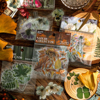 No. 5 - (complete set, 10% OFF）