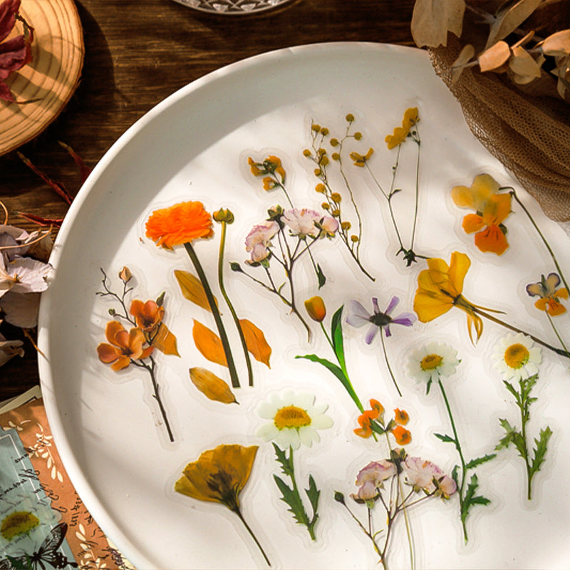 Nature Collector Vintage Botanical Floral Vinyl Sticker Pack b2