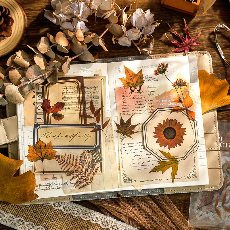 Nature Collector Vintage Botanical Floral Vinyl Sticker Pack b5