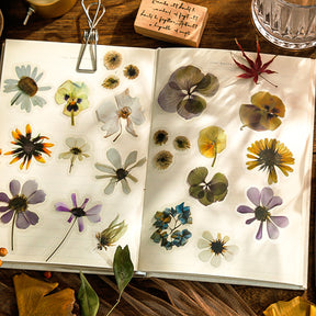 Nature Collector Vintage Botanical Floral PVC Sticker Pack b