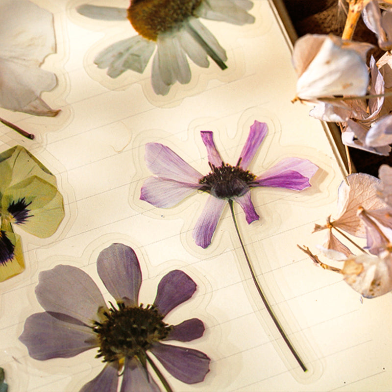 Nature Collector Vintage Botanical FloralVinyl Sticker Pack c