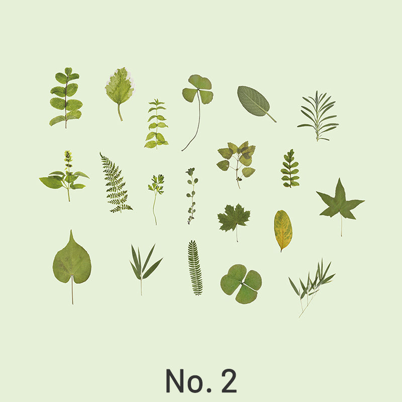 Nature Collector Vintage Botanical Floral Vinyl Sticker Pack sku-2