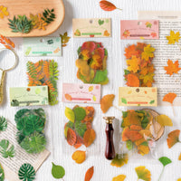 7. Complete Set (10% OFF)