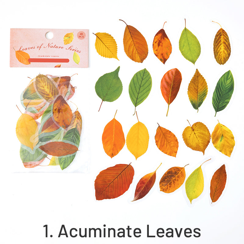 Nature Series Plant Leaves PET Sticker Pack sku-1