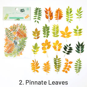 Nature Series Plant Leaves PET Sticker Pack sku-2