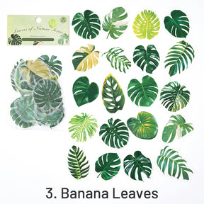 Nature Series Plant Leaves PET Sticker Pack sku-3