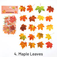 4. Maple Leaves