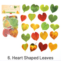 6. Heart Shaped Leaves