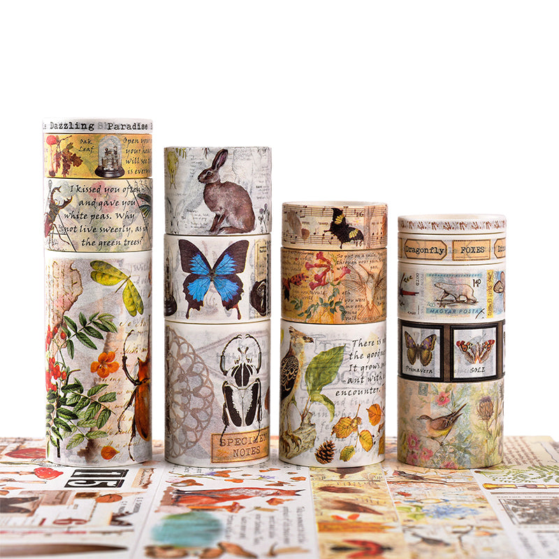Tape - Vintage Boxed Washi Tape Set - Manuscript, Travel, Animal, Forest, Cosmic Stars