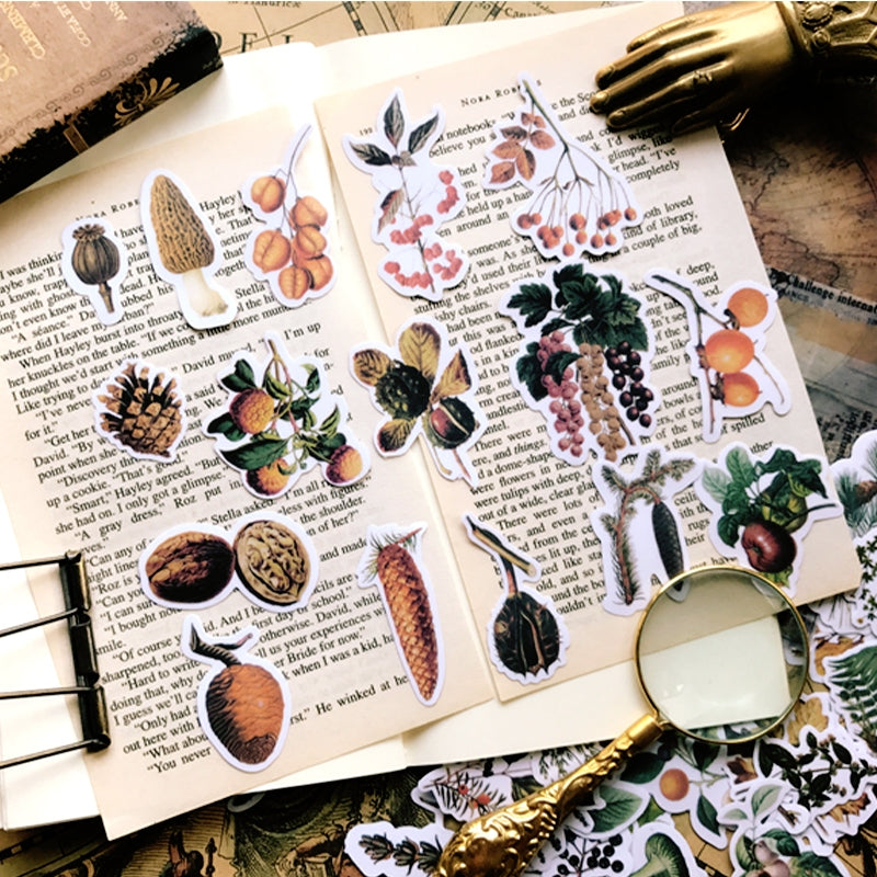 Nut And fruit Picture Book Hand Account Sticker 1