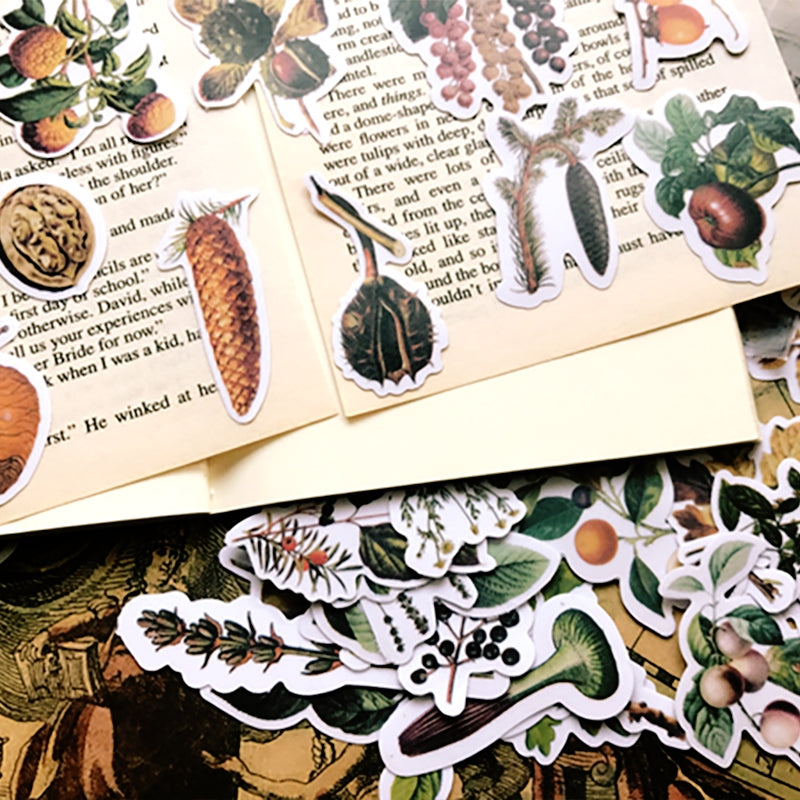 Nut And fruit Picture Book Hand Account Sticker 2