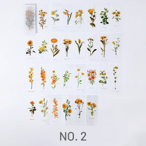 Plant Sketchbook Series Long Stickers  Journal Stamprints 5