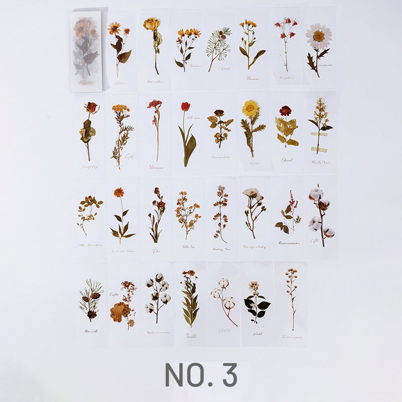 Plant Sketchbook Series Long Stickers  Journal Stamprints 6