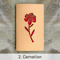 2. Carnation