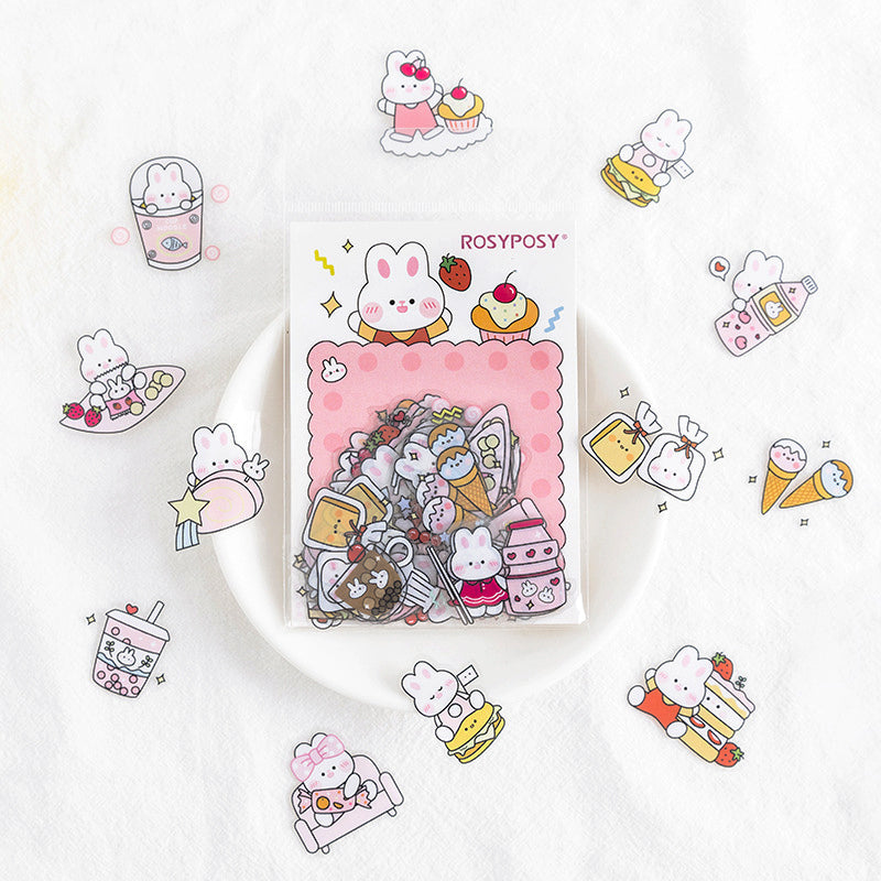RosyPosy Cute Explosion Cartoon Rabbit Girl PET Sticker Pack b3
