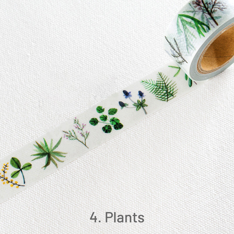 AIUEO Cartoon Animal Plant Fashion People Washi Tape5